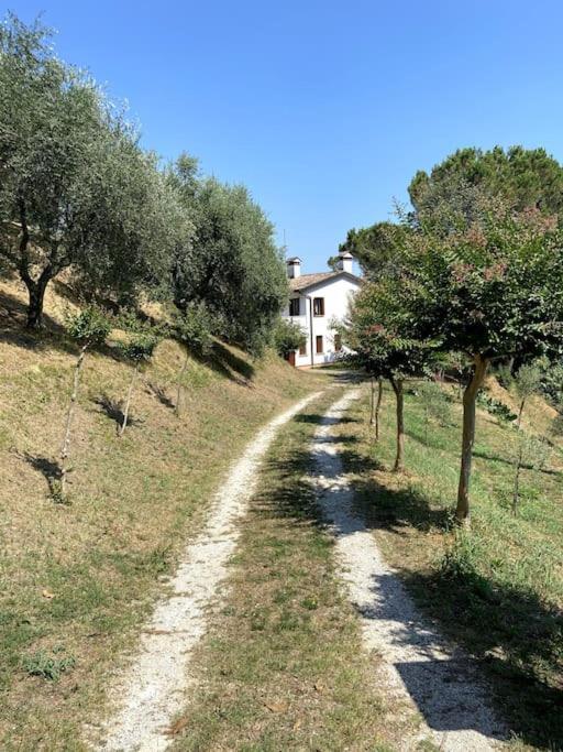 Tenuta Da Mose Con Vista Sui Colli Asolani Monfumo Eksteriør billede