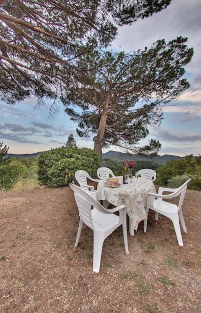 Tenuta Da Mose Con Vista Sui Colli Asolani Monfumo Eksteriør billede